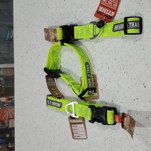 Arcadia Trail Collar Large Lime Green